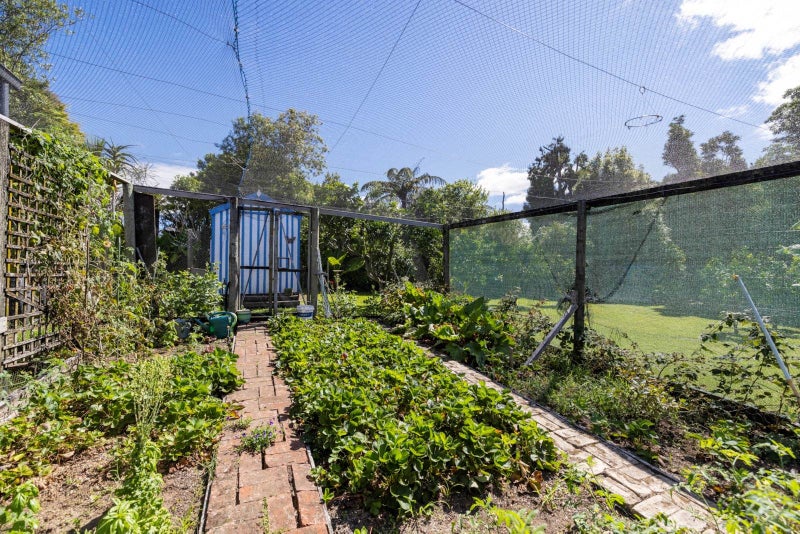 257 Thompsons Track, Katikati - Carousel 38