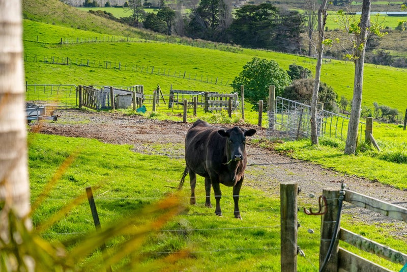 20 Haywood Lane, Tawharanui Peninsula, Warkworth - Carousel 50