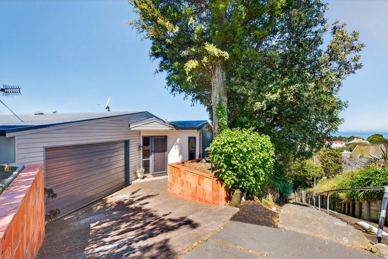 18A Harvey Road, Bluff Hill, Napier - Carousel 13