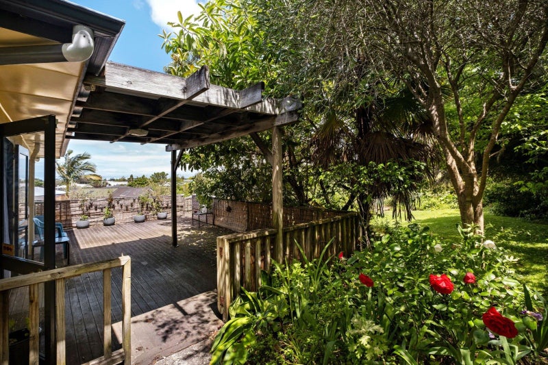 164 Ballance Street, Whataupoko, Gisborne - Carousel 28