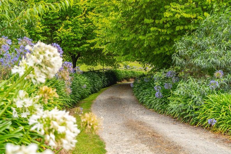 103A Kaka Amu Road, Rangitumau - Carousel 28