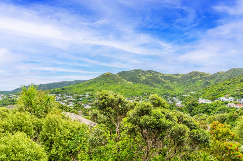 39B Fox Street, Ngaio, Wellington - Carousel 2