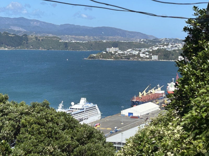 12 Anne Street, Wadestown, Wellington - Carousel 16