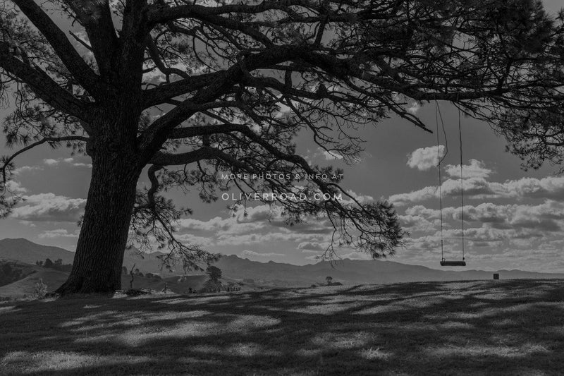 6A Hinckley Road, Katikati - Carousel 20