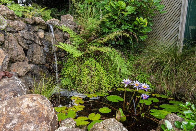 9 Halcyon Place, Whau Valley, Whangarei - Carousel 2