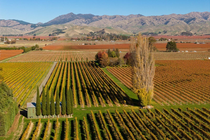 322 Middle Renwick Road, SPRINGLANDS, BLENHEIM - Carousel 1