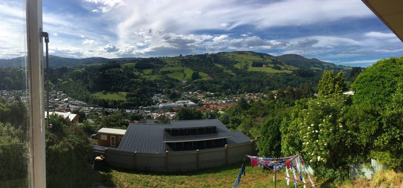 167 Evans Street, Opoho, Dunedin - Carousel 8