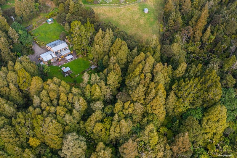 16 Jack Barry Road, Albany - Carousel 23