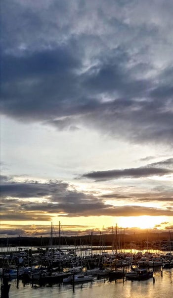 206/1 Lever Street, Ahuriri, Napier - Carousel 31