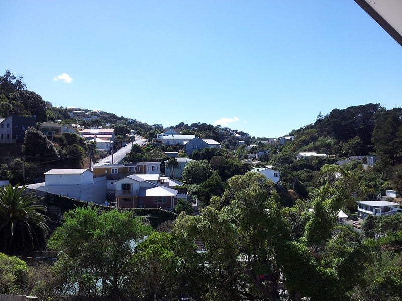 39 Mccoll Street, Vogeltown, Wellington - Carousel 16