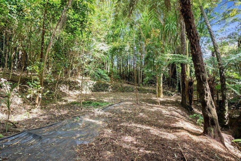 88 Willerton Avenue, New Lynn, Auckland - Carousel 24