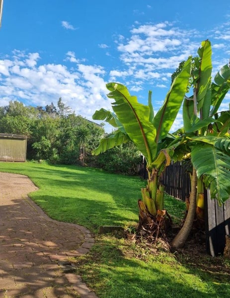 79 The Avenue, Lynfield, Auckland - Carousel 22