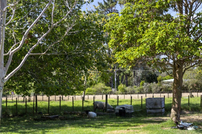 15 Collie Road, Waiuku - Carousel 2