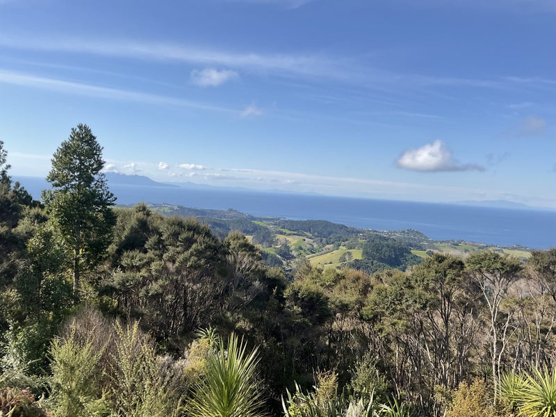 171 Rodney Road, Whangateau, Warkworth - Carousel 22