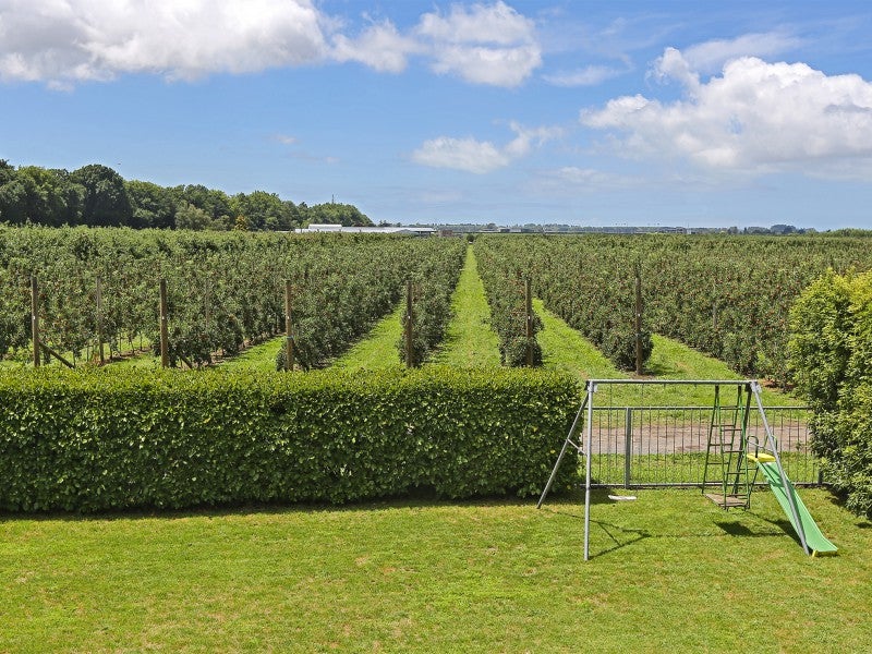 1027 Omahu Road, Frimley, Hastings - Carousel 18