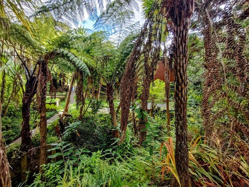 23A Fairmount Road, Titirangi, Auckland - Carousel 21