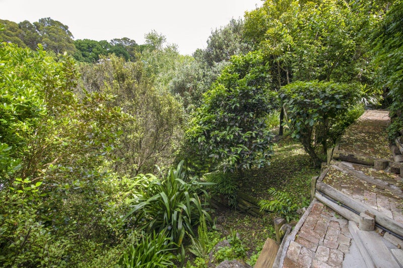 21 Burns Road, Hospital Hill, Napier - Carousel 37