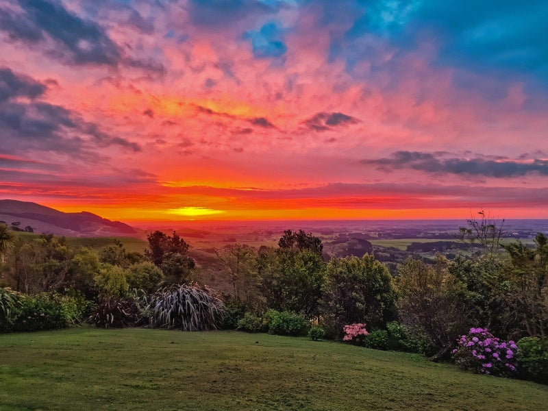 307 Ngahere Park Road, Turitea, Palmerston North - Carousel 25