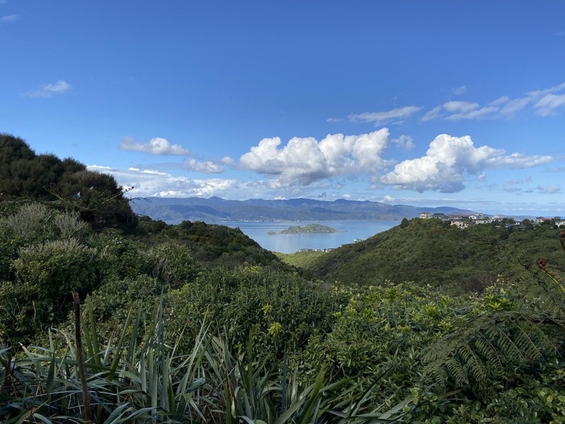 20 Ladbrooke Drive, Newlands, Wellington - Carousel 2