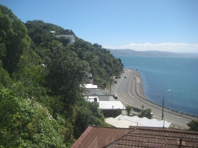 17B Kio Road, Hataitai, Wellington - Carousel 10