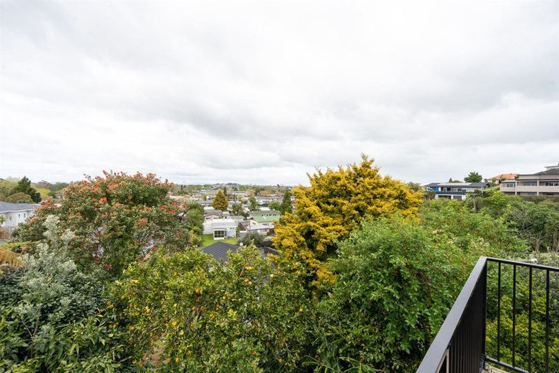 15B Ridout Street, Maeroa, Hamilton - Carousel 17