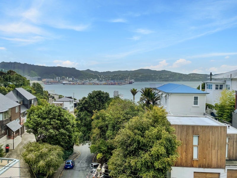 2 Telford Terrace, Oriental Bay, Wellington - Carousel 1