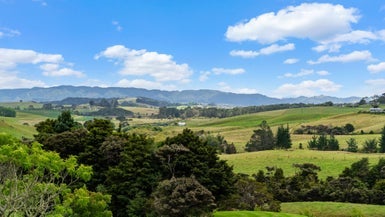 24A Wood Pigeon Lane, Mangawhai, Wellsford - Carousel 1