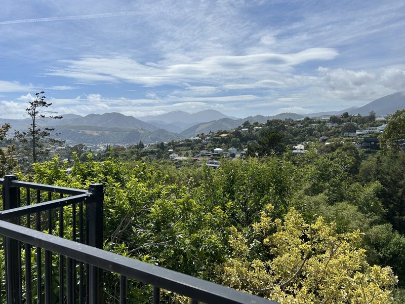 113 Princes Drive, Britannia Heights, Nelson - Carousel 1