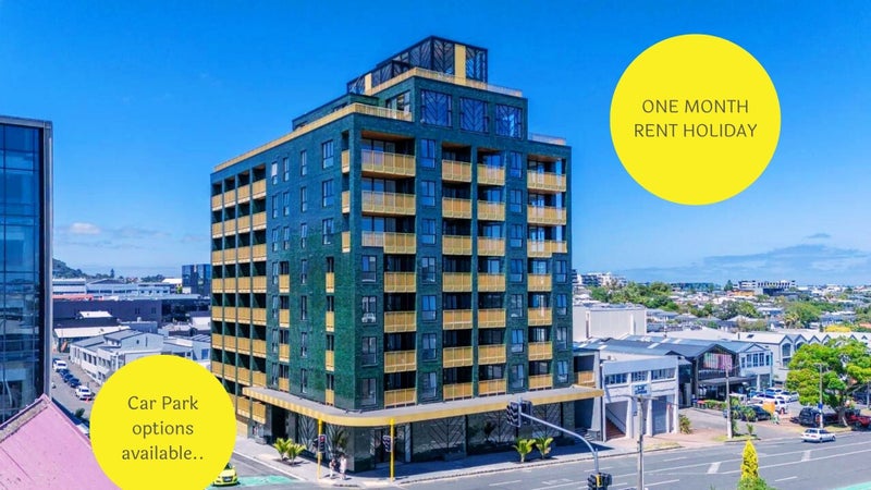 111/20 Williamson Avenue, Grey Lynn, Auckland - Carousel 1