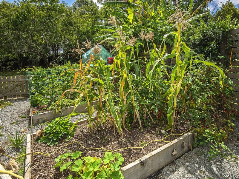 321 VINEGAR HILL RD, KAMO, WHANGAREI - Carousel 41