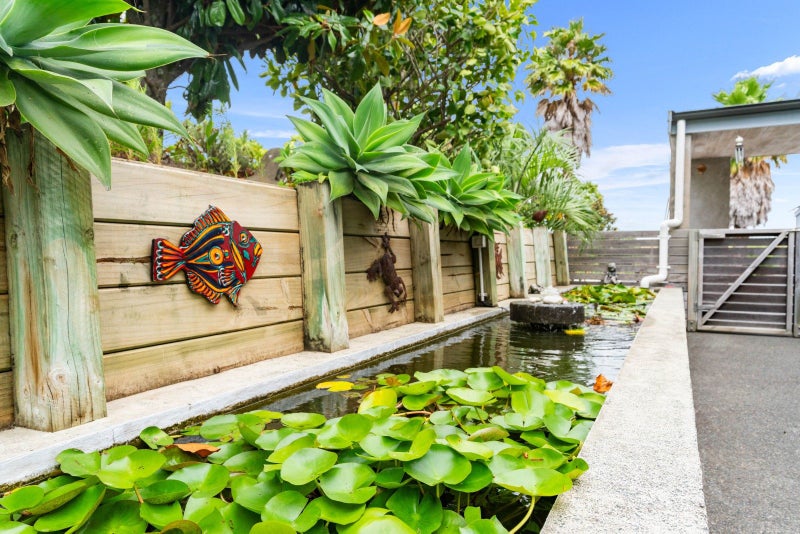 50 Atkin Road, Kaiwaka - Carousel 2