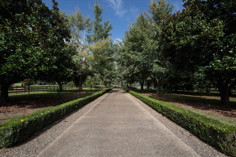 844 Maungatautari Road, Maungatautari - Carousel 2