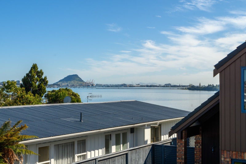 19A Vine Avenue, Maungatapu, Tauranga - Carousel 1