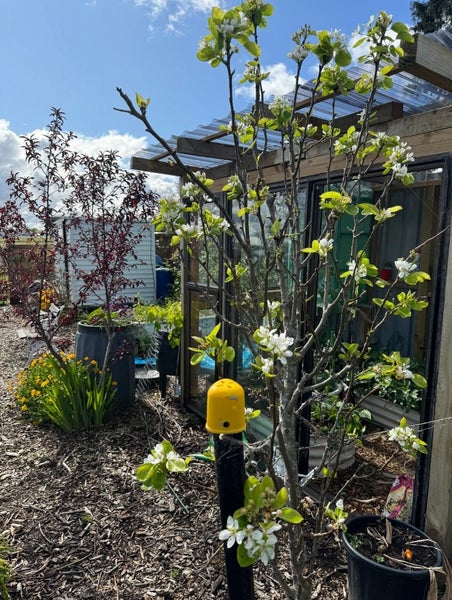 31 Village Way, Ardmore, Papakura - Carousel 17