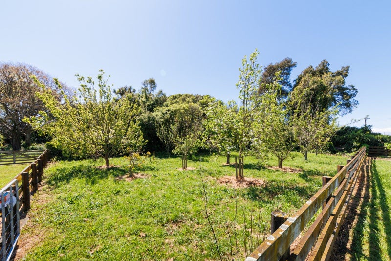 2022 State Highway 56, Longburn - Carousel 50