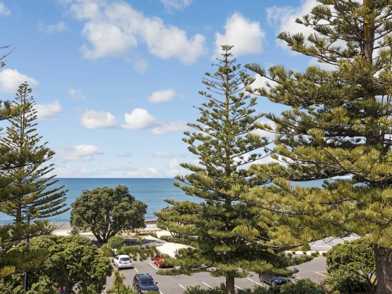 245 Marine Parade, Napier South, Napier - Carousel 18