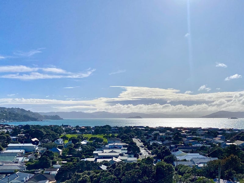 67 Mantell Street, Seatoun, Wellington - Carousel 1