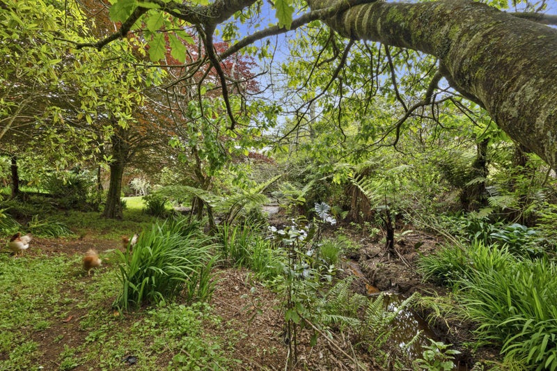 1256 Carrington Road, Hurworth, New Plymouth - Carousel 21