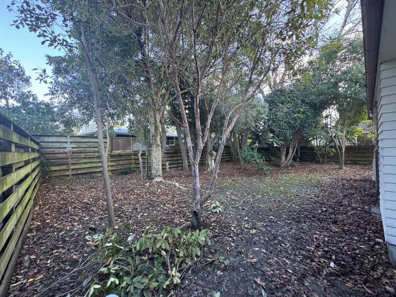 65 Manawatu Street, Hokowhitu, Palmerston North - Carousel 13