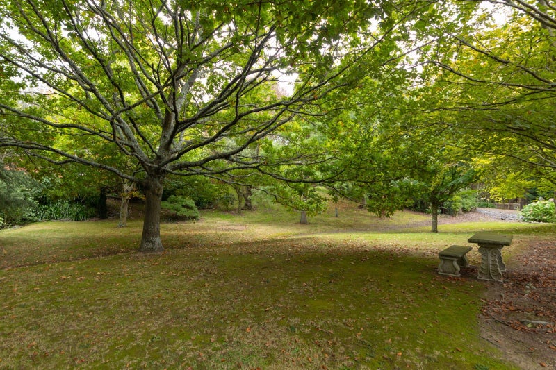 44 Innerwell Lane, Palmerston North - Carousel 32