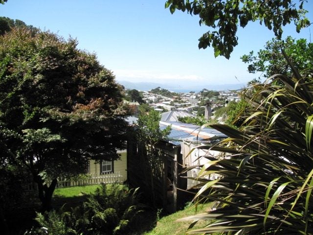 59 Reuben Avenue, Brooklyn, Wellington - Carousel 15