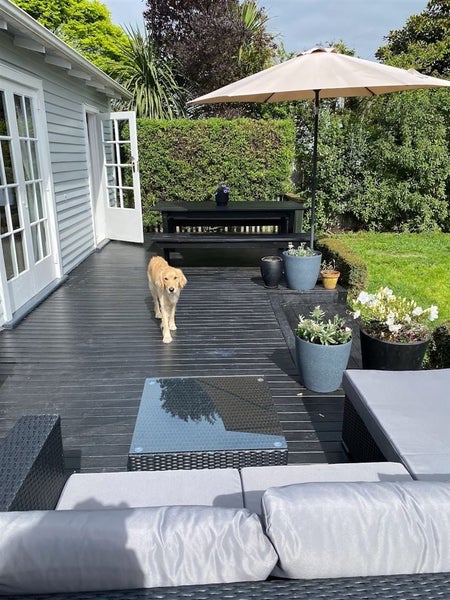 55 Bletsoe Avenue, Spreydon, Christchurch - Carousel 18