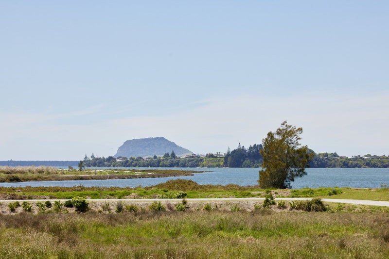 22 Te Ara O Tahataharoa, Tauranga - Carousel 2