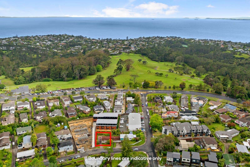 3/28 Morton Avenue, Forrest Hill, Auckland - Carousel 19
