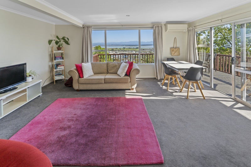 3/27 Chamberlain Street, Tahunanui, Nelson - Carousel 17