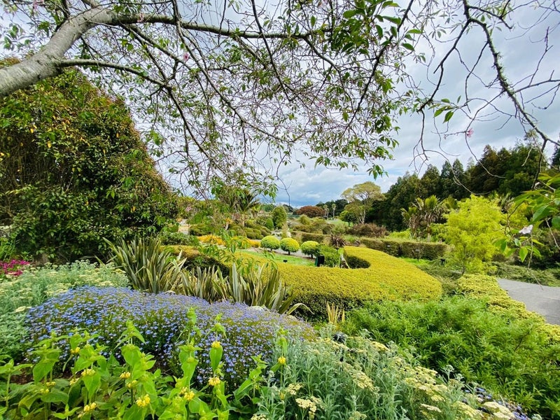 2 Pat O'Connor Place, Manurewa, Auckland - Carousel 20