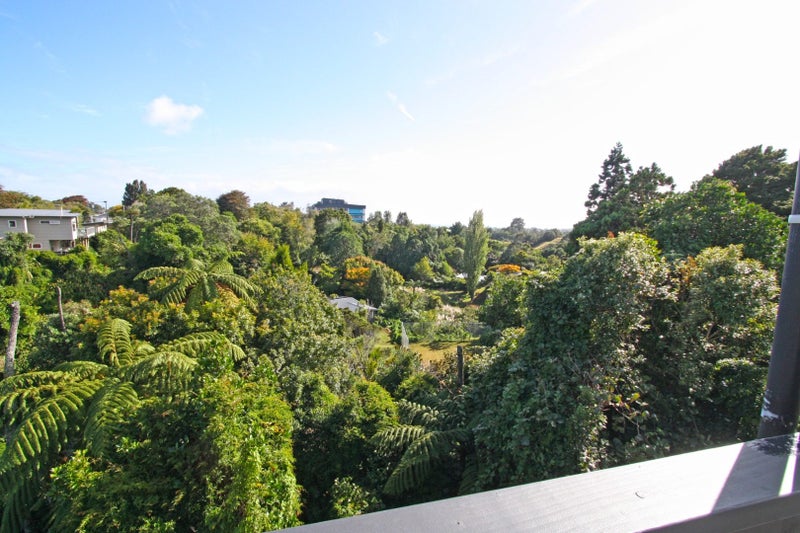 135C Coronation Avenue, Welbourn, New Plymouth - Carousel 9