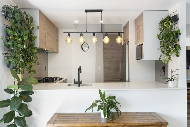 8/19 Langana Avenue, Browns Bay, Auckland - Carousel 2