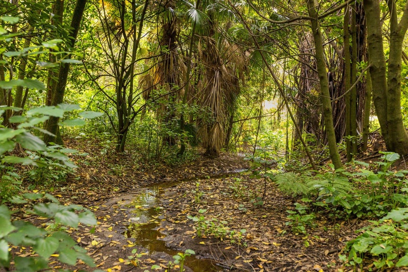 12 Oceana Drive, Welcome Bay, Tauranga - Carousel 12