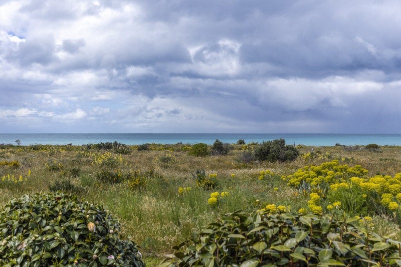 150 Rarangi Beach Road, Rarangi - Carousel 19